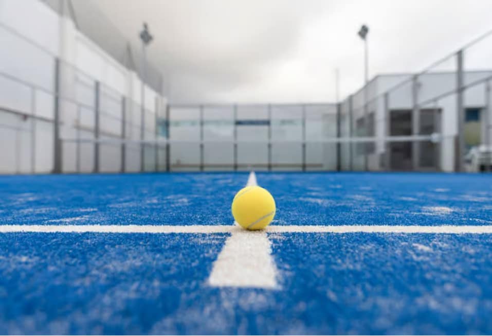 jenis rumput lapangan padel